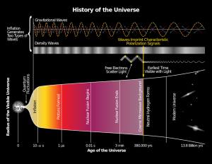 The History of the Universe